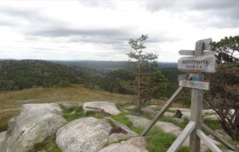Bertesknapen - tur- retur 7,4 km