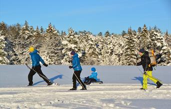 Familie på ski i vinterlandskap