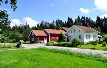 Gårdsliv på Tveide i Birkenes