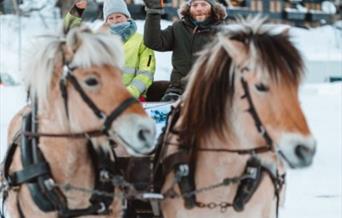 Horses in winter at Eikerapen in Åseral