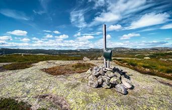 Homvassheia - tur/retur 8 km