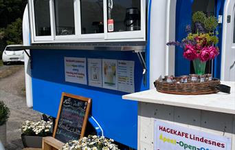 Kafé, blomster, sol