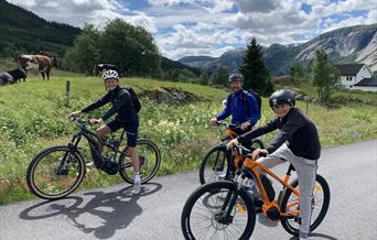 Sykkeltur til Tveitebø, Valle