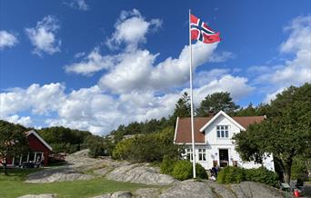 hvitt hus