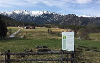 Rygnestad - rundtur 2,5 km