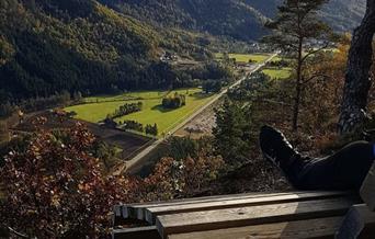 Neseknipen