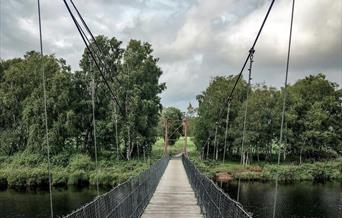 Bringsjordneset