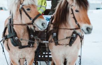 hest og slede i Åseral, setesdal
