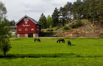 Kjerlingland Hest- og Aktivitetsgård