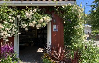 lite rødmalt hus med flotte blomster på Lundbergs Planteskole