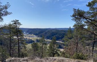 Utsikt mot jorder, skog og fjell, åpen himmel