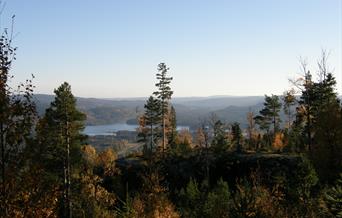 Lia Skule - Fennefossfjellet - rundtur 4,8 km