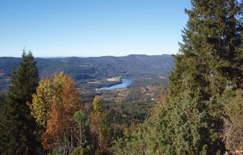 Mykleåsen - tur- retur 3,6 km