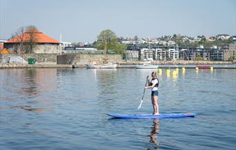 SUP-brett til utleie i Odderøya museumshavn