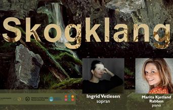 Skogklang - en støtteerklæring til skogene vi mister