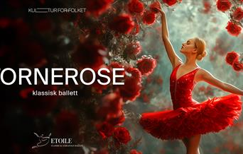 Tornerose // Classical Ukrainian Etoile Ballet
