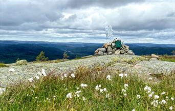 Snøfjell - tur/retur 6 km
