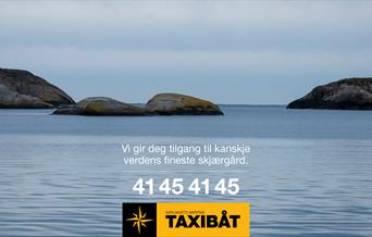 Plakat for Taxibåt i Tvedestrand skjærgård.