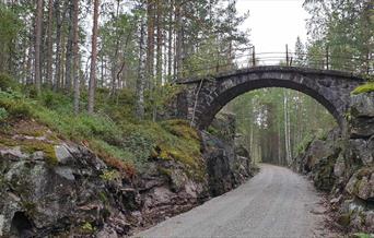 Vei med bro i skogen