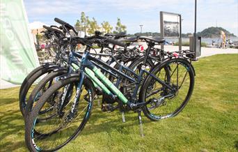 Picture of rental bicycles