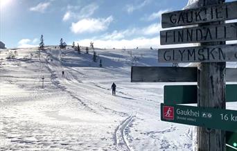 Crosscountry skiing in the mountains
