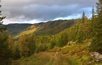 Valefjell tur-retur 9 km