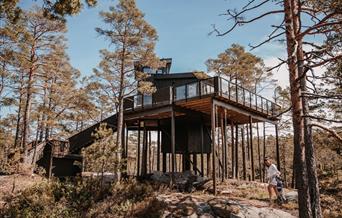Furukrona, Iveland Tree Top Panorama