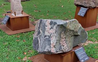 Bergartomvisning i botanisk hage