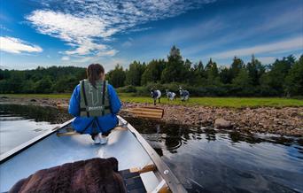 Kvinne i kano på vannet og tre geiter på land