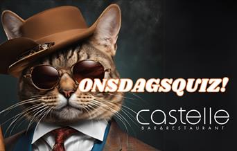 plakat for onsdagsquiz på Castelle i Arendal med bilde av en katt med hatt, solbriller og dress.