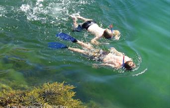 To barn som dykker med snorkler i vannet