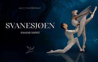 Svanesjøen