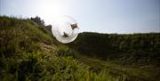 zorb