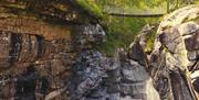Rafossen