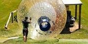 zorb