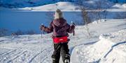 Liten skiførere på langrennski Ljosland skisenter, Ljosland