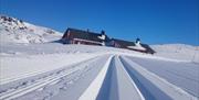 Nypreppa langrenn skispor, Ljosland