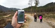 Tingvatn app