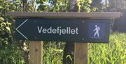 Vede mountain lyngdal