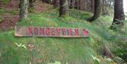 Kongeveien Hiking Tour