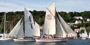 Risør II er en gammel Colin Archer redningsskøyte som holder til i Risør. Den er tilgjengelig for utleie hele året. Her i Risør havn under Trebåtfestivalen.