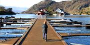 Øya Hidra båtanlegg