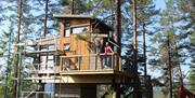 Trehyttene i Gjerstad