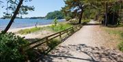 Sti langs sjøstranden