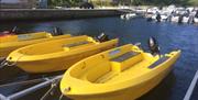 15 fots Pioner Viking med 9,9hk.