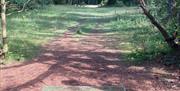 Biland frisbeegolf
