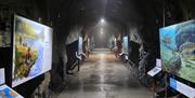 Tunnellen som leder til fjellhallen hvor fisketrappa er.