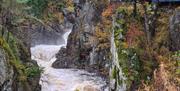 Norsk Villakssenter - Kvåsfossen ligger på kanten av juvet til lakseelva Lygna.