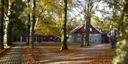Naturmuseum og botanisk hage, Universitetet i Agder