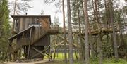 Kråkeslottet Trehyttene i Gjerstad trehytte